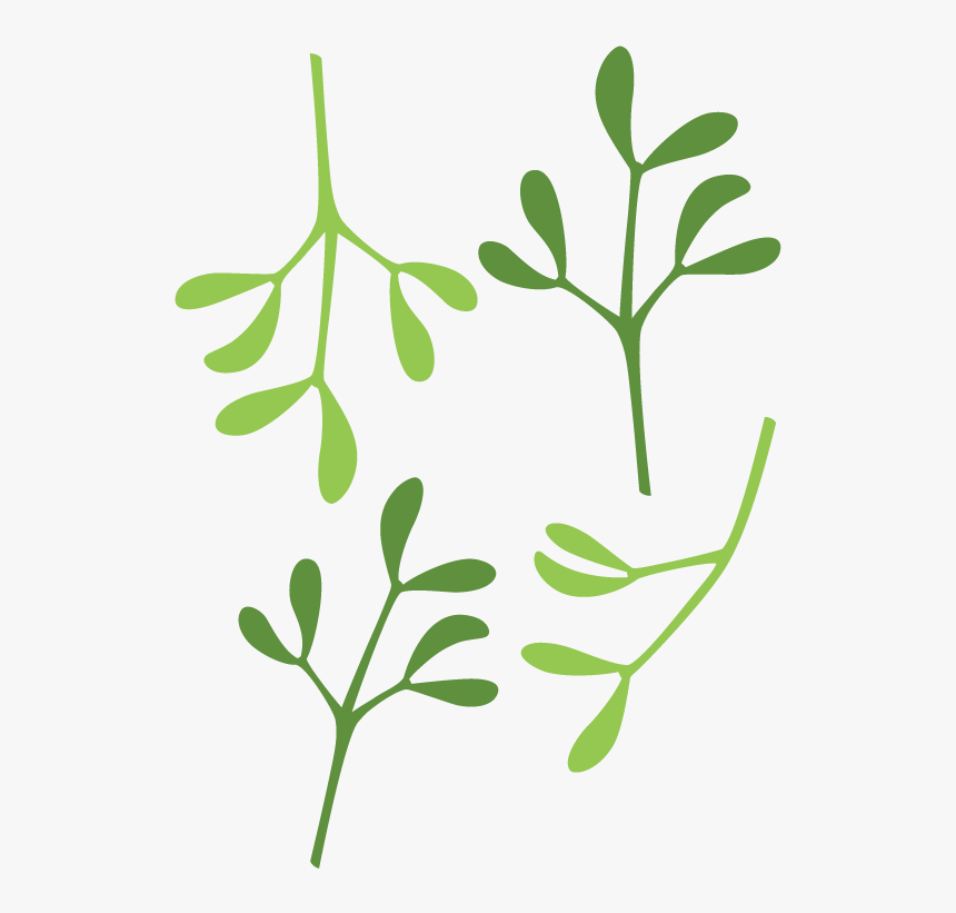 Mistletoe Leaf Template, HD Png Download, Free Download