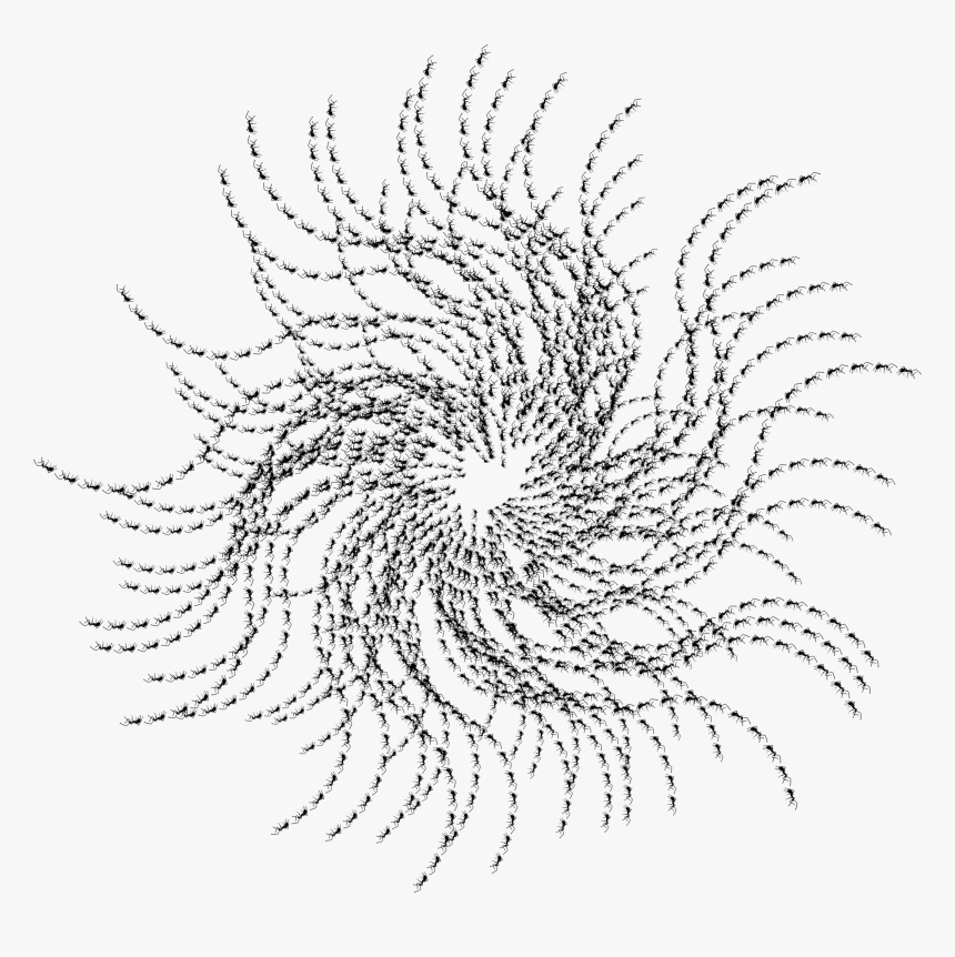 Ants Corona Clip Arts - Line Art, HD Png Download, Free Download