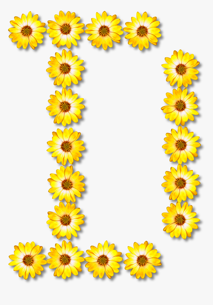 Free Download Common Sunflower Clipart Common Sunflower - Sunflower Number 6 Clipart, HD Png Download, Free Download