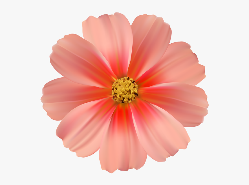 1 Png - Transparent Flower Clipart Png, Png Download, Free Download