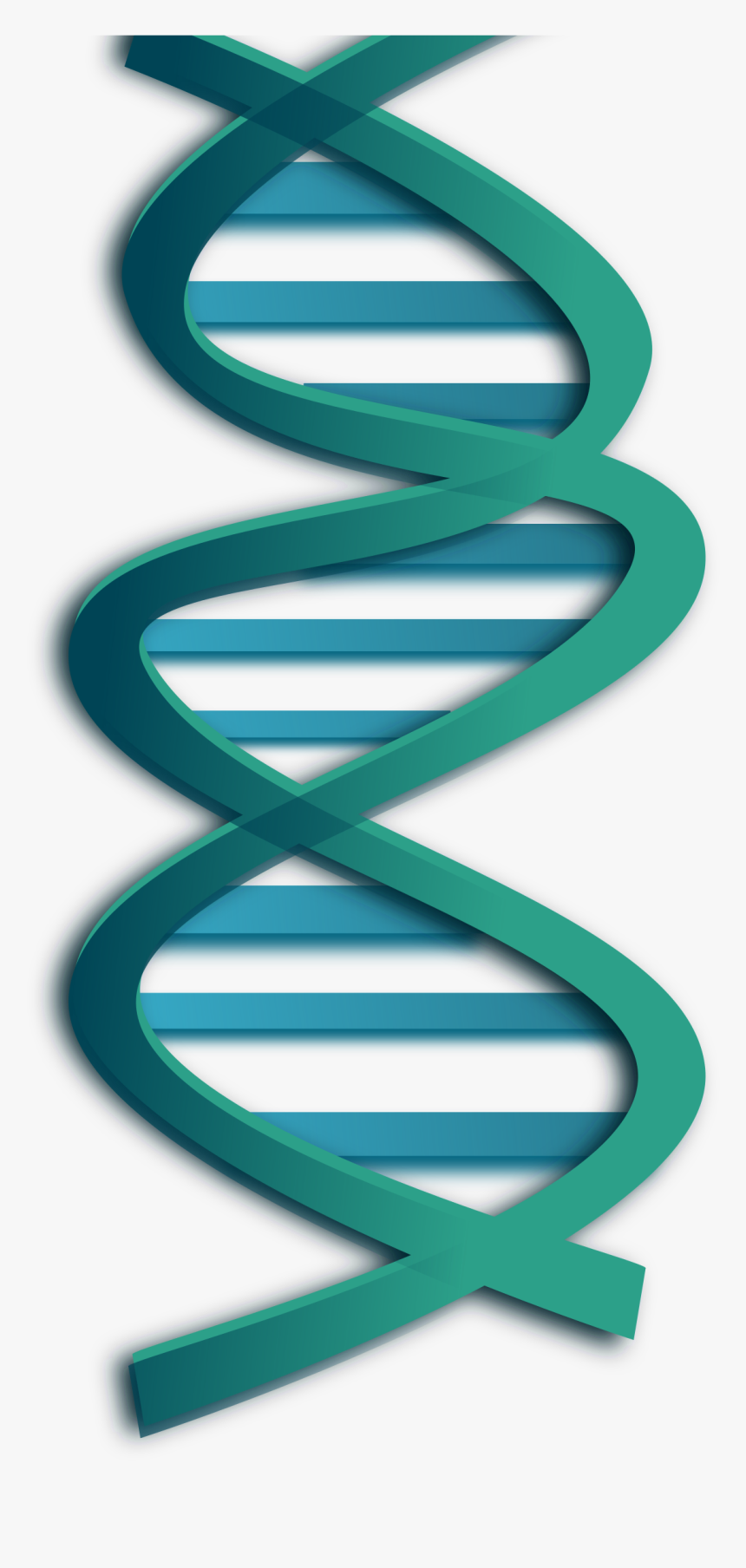 Green Knot Dna Emblem Images - Dna Clip Art, HD Png Download, Free Download