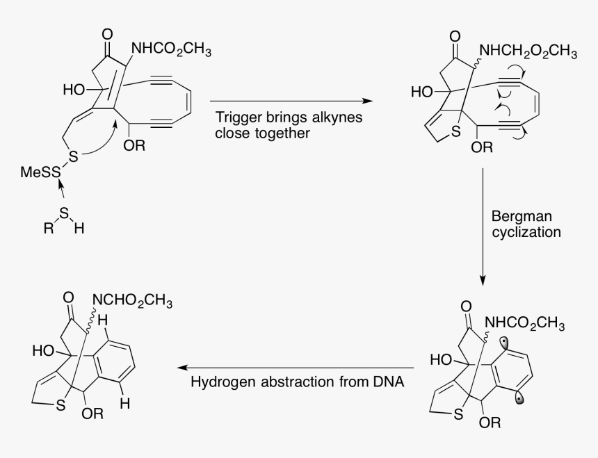 Calicheamicin Cleavage Of Dna - Hydroxyl Radical Dna Damage, HD Png Download, Free Download