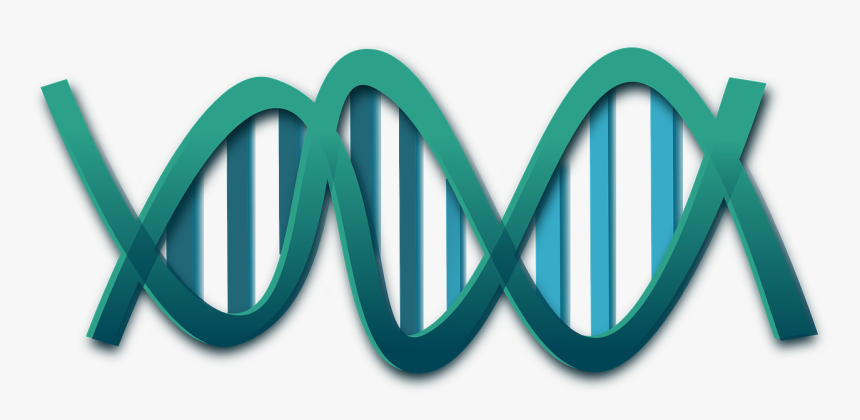 Dna Clip Art, HD Png Download, Free Download