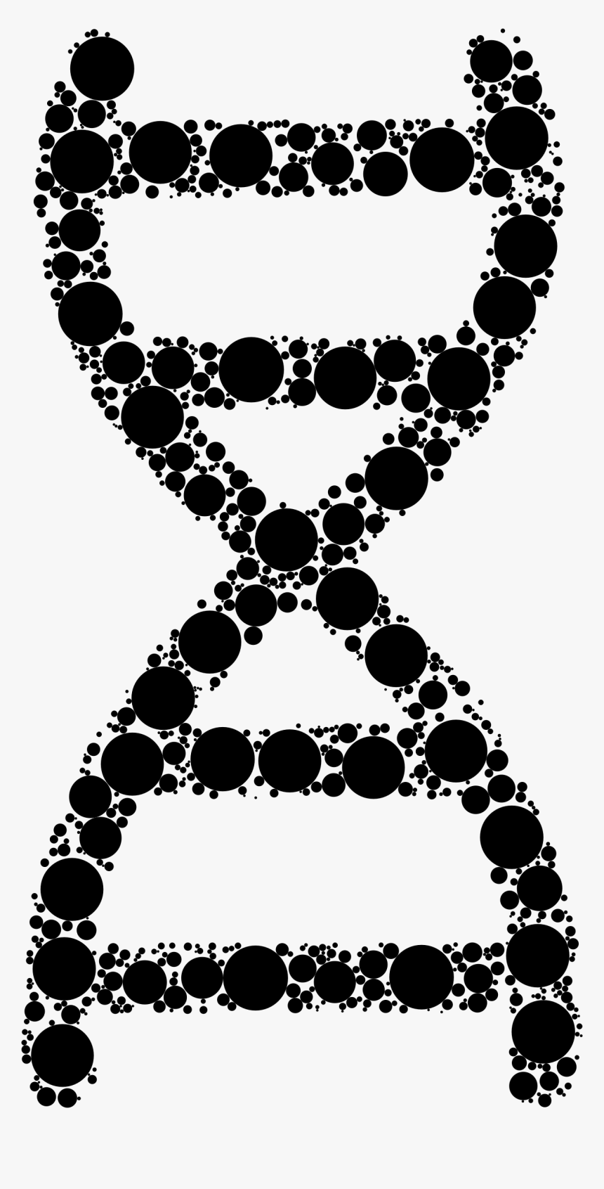 This Free Icons Png Design Of Dna Helix Circles - Nucleic Acid In A Human, Transparent Png, Free Download