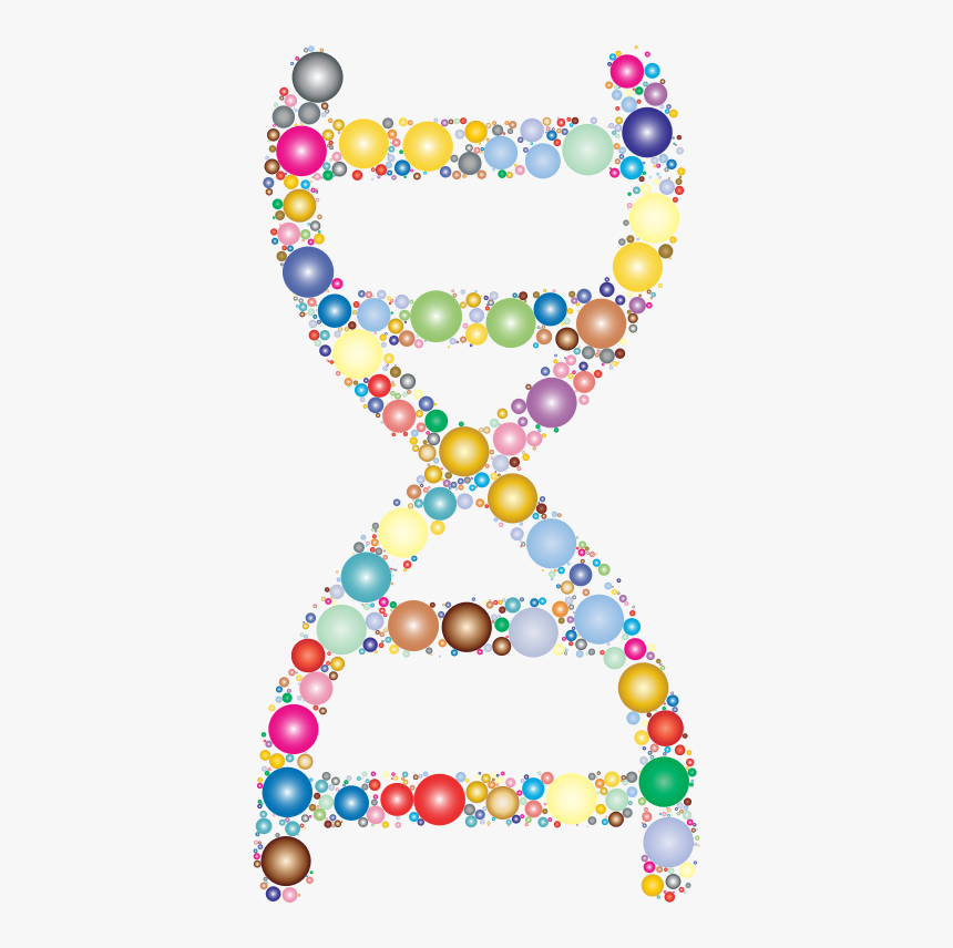 Prismatic Dna Helix Circles - Molecular Biology Png, Transparent Png, Free Download