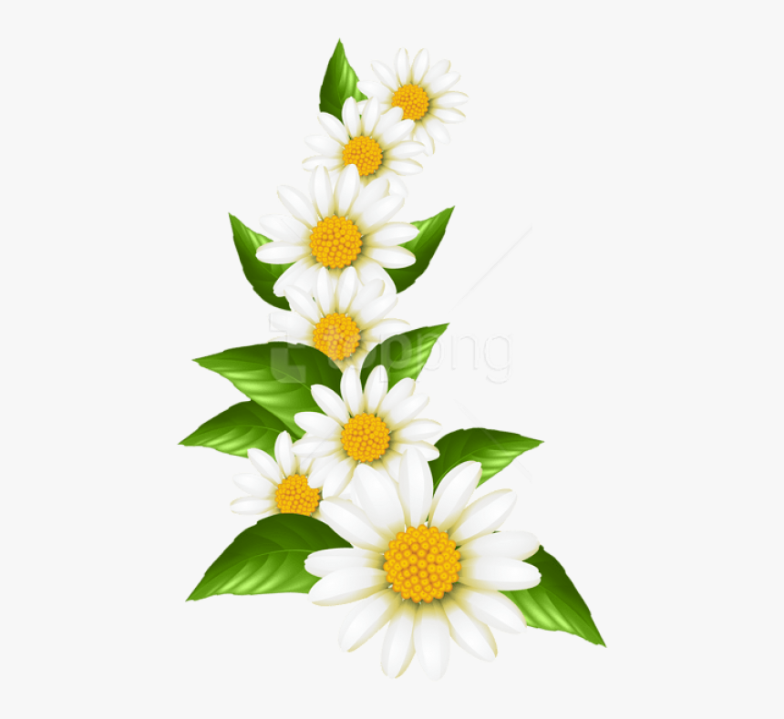 Daisy Clipart Free, HD Png Download, Free Download