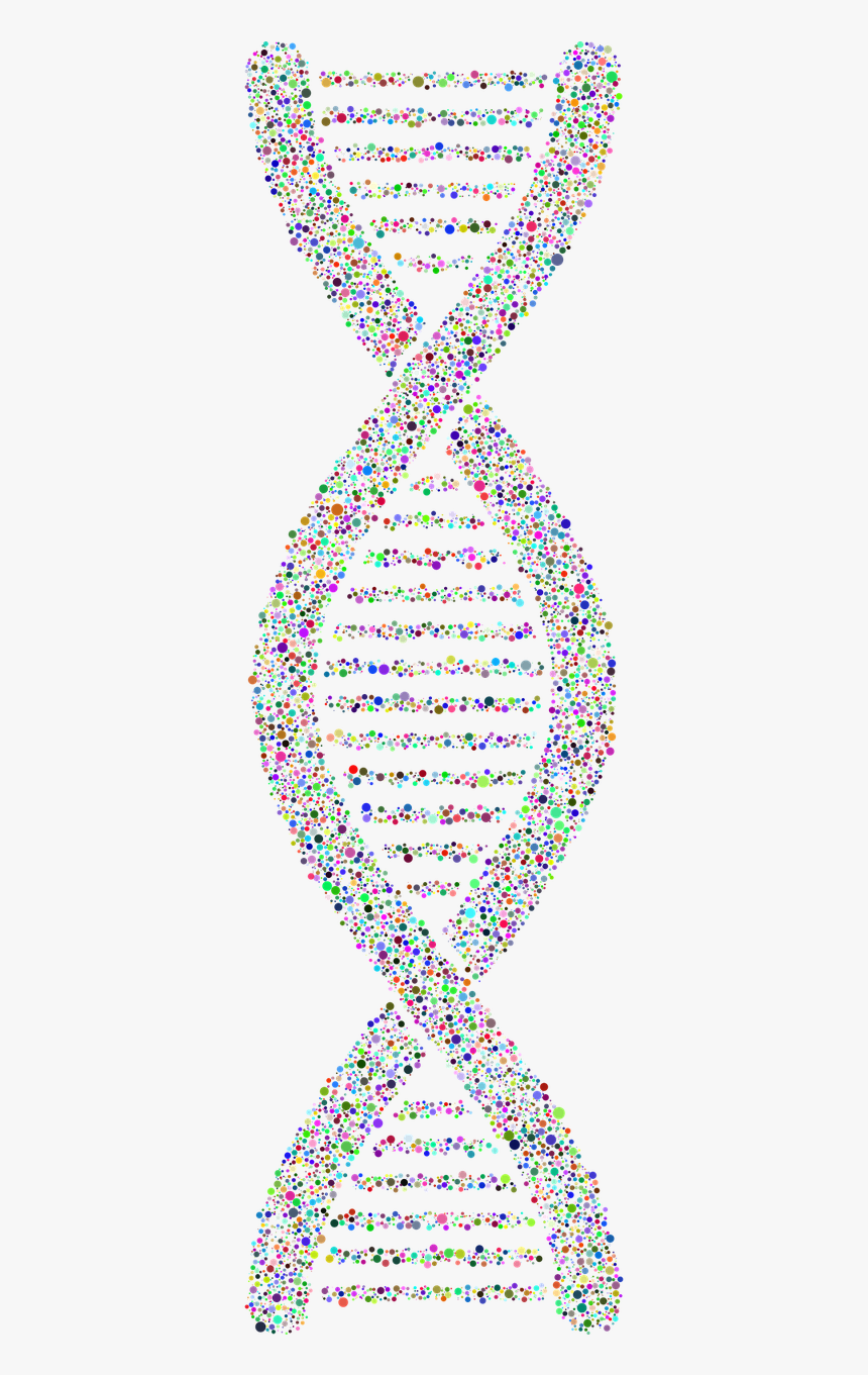 Dna Helix Circles Free Picture - Dna, HD Png Download, Free Download