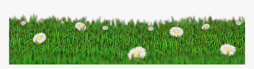 حشائش Png, Transparent Png, Free Download