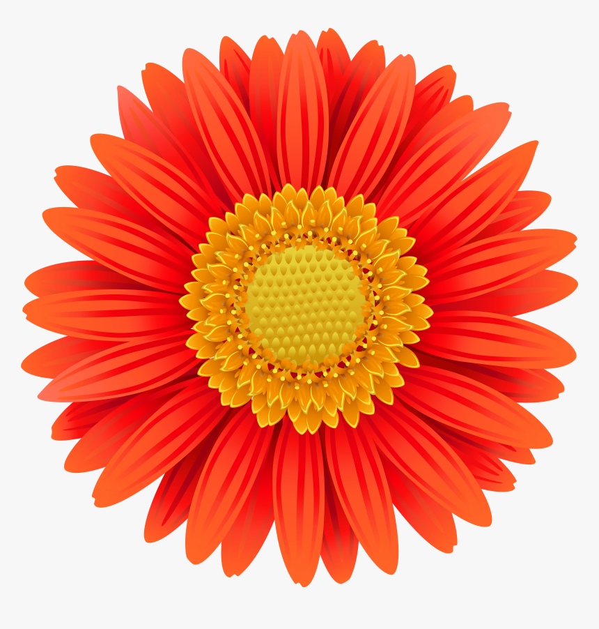 Daisy Clipart Daisy Petal - Rueda Dentada De 50 Dientes, HD Png Download, Free Download