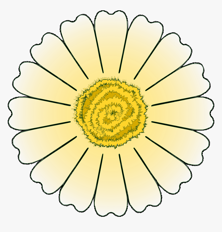 This Free Icons Png Design Of Flower Daisy 16 Petal - Flower With 16 Petals, Transparent Png, Free Download