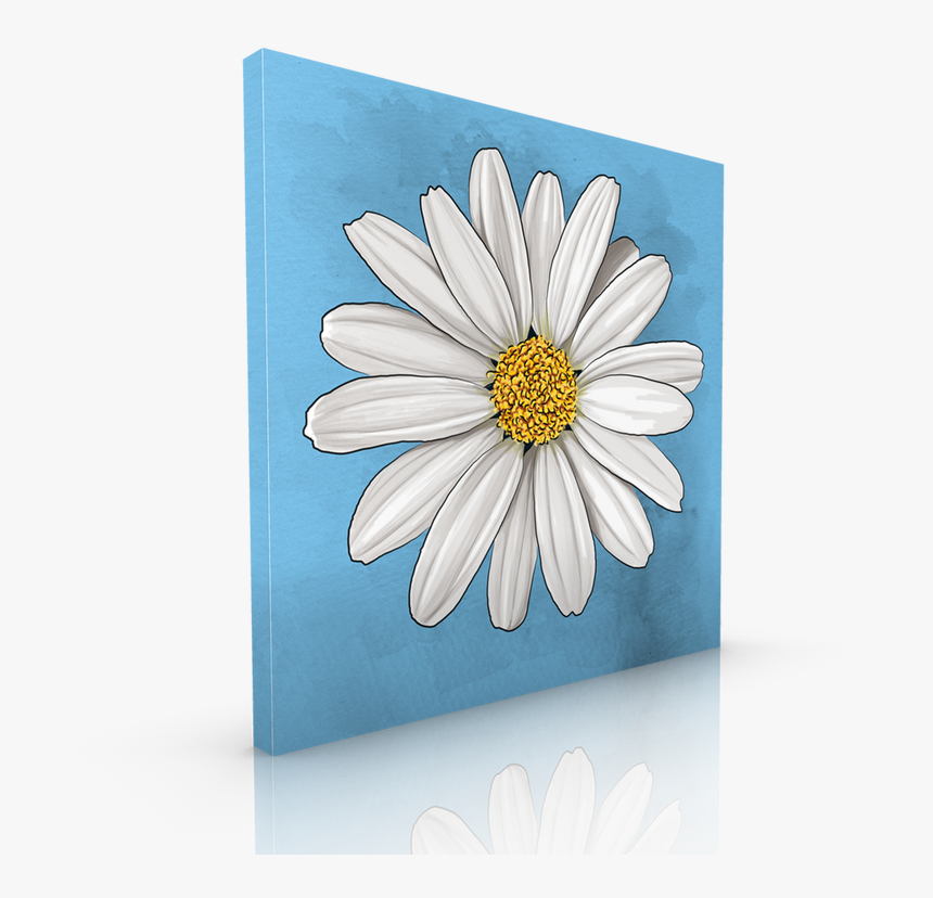 Daisy , Png Download - Daisy, Transparent Png, Free Download