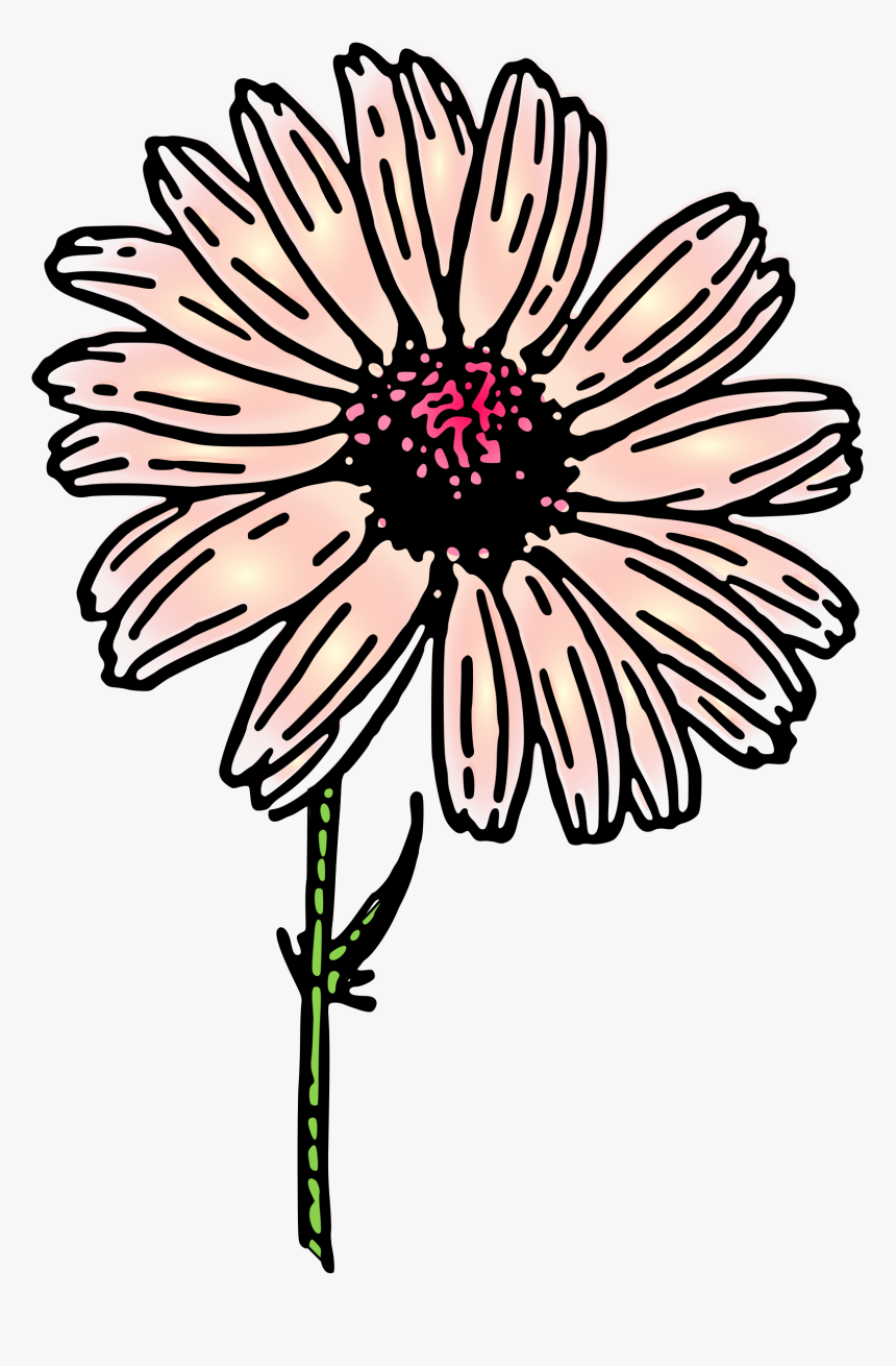 Colored Daisy 2 Clip Arts - Clip Art, HD Png Download, Free Download