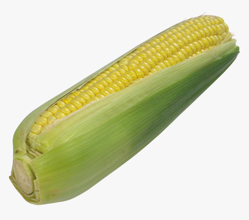 Corn Png Image - Maize, Transparent Png, Free Download