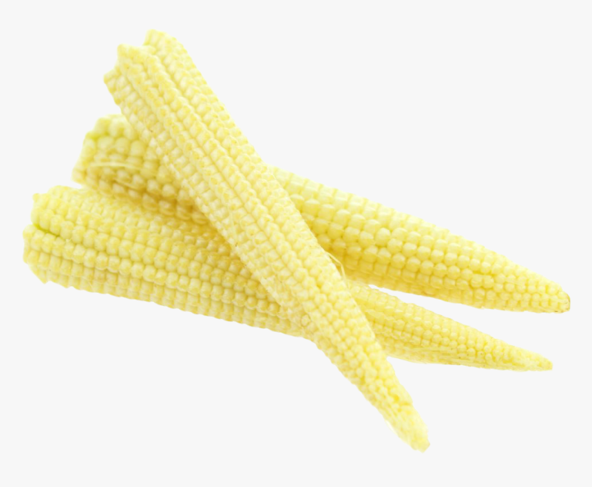 Baby Corn Png, Transparent Png, Free Download