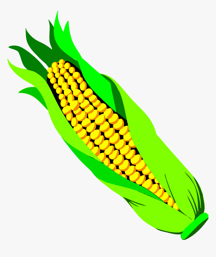 28 Collection Of Corn Clipart Transparent Background - Ear Of Corn Transparent Background, HD Png Download, Free Download