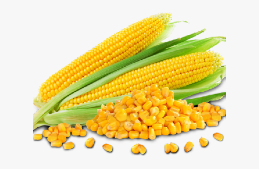 Corn Png Transparent Images - Maize Seeds, Png Download, Free Download