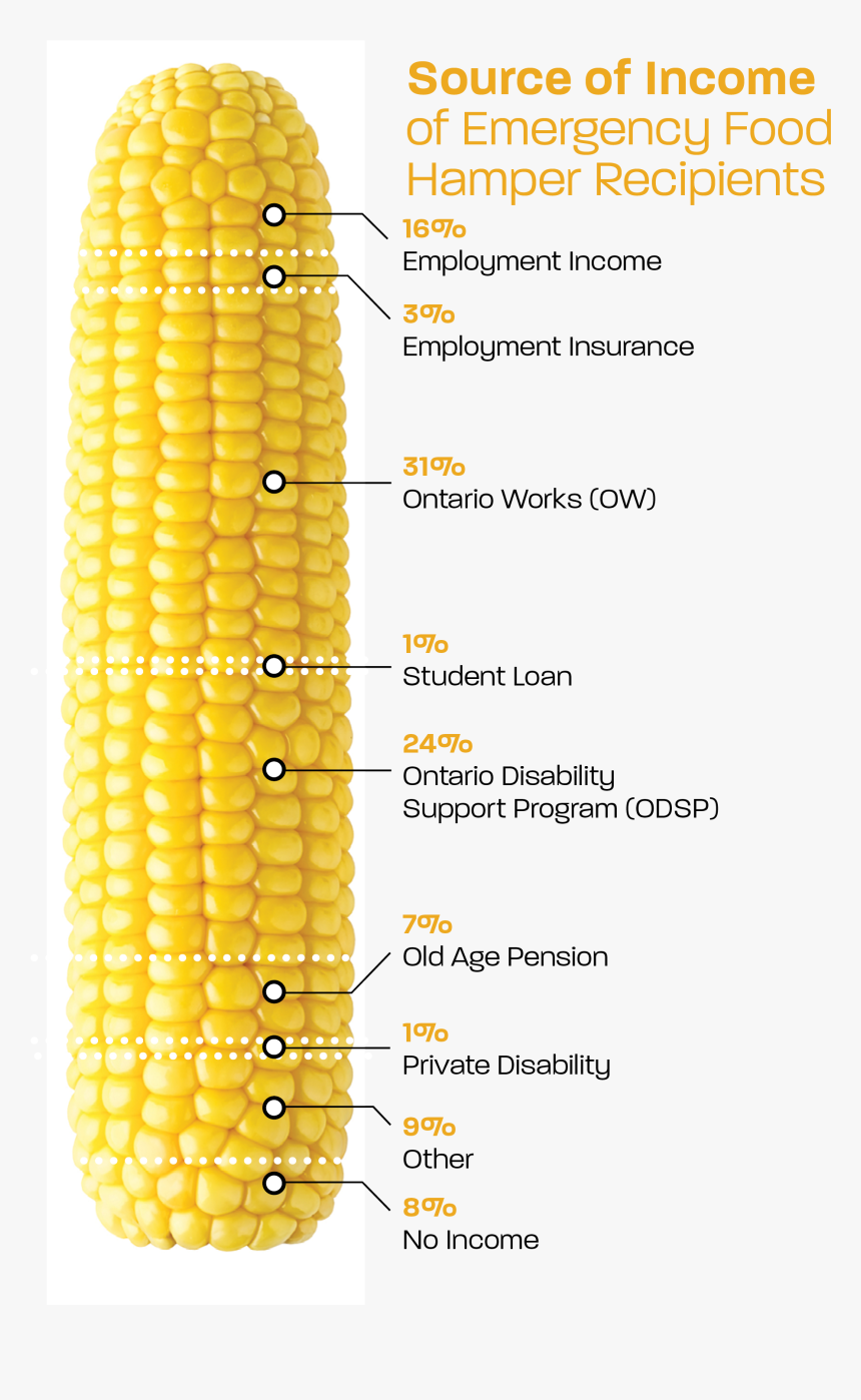 Corn Kernels, HD Png Download, Free Download