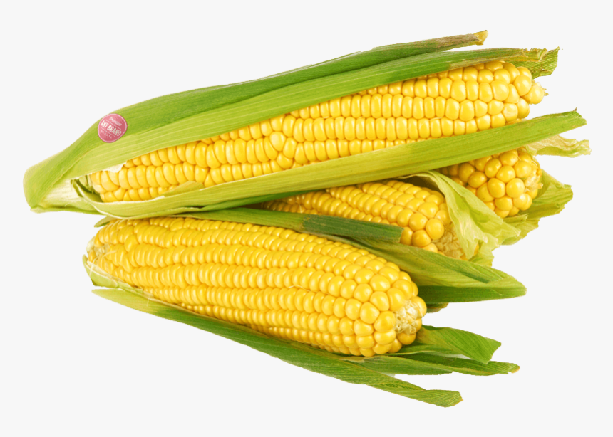 Corn Png Free Image Download - Corn Kernels, Transparent Png, Free Download