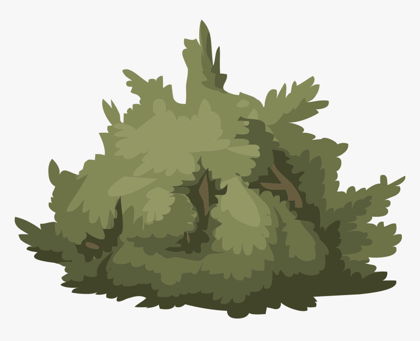 Bush Vector Png, Transparent Png, Free Download