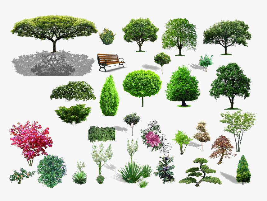Tree Shrub Landscape Material Transprent Png Free, Transparent Png, Free Download