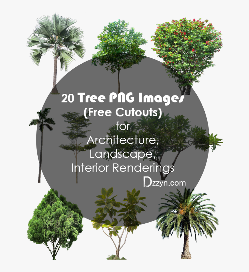 20 Tree Png Images For Architecture, Landscape, Interior - High Resolution Trees Png, Transparent Png, Free Download