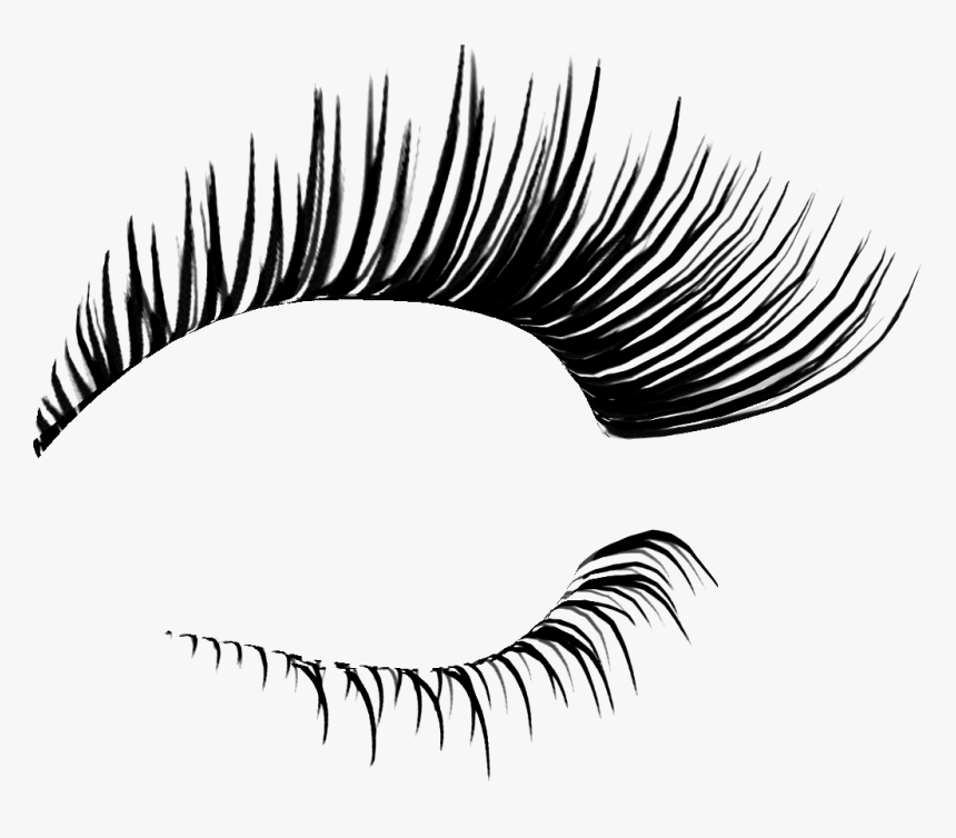 Eyelash Extensions Cosmetics Clip Art - Eyelashes Png, Transparent Png, Free Download