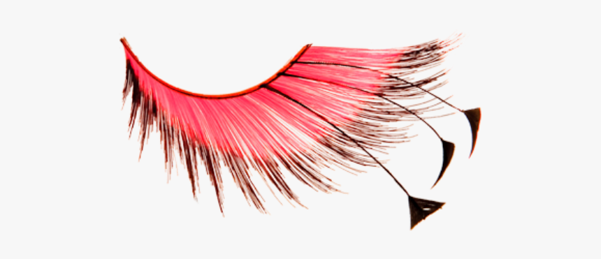 Eyelash Clipart Staches Or Lash - Kryolan Eyelashes, HD Png Download, Free Download