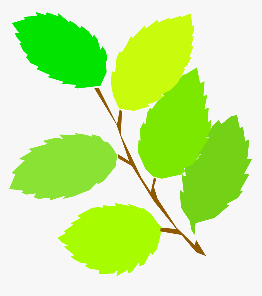 Simple Spring, New Leaves Clip Arts - Spring Clip Art, HD Png Download, Free Download