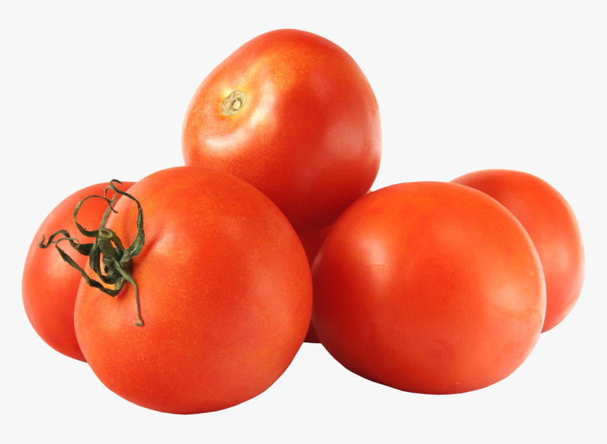 Tomato Png - Tomato Vegetable Images Png, Transparent Png, Free Download