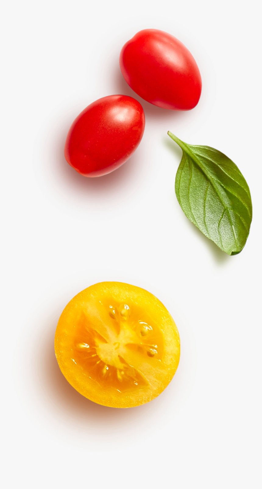 Plum Tomato, HD Png Download, Free Download