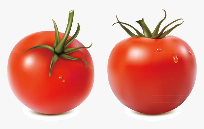 Salsa Tomato Royalty-free Illustration - Tomato Png, Transparent Png, Free Download