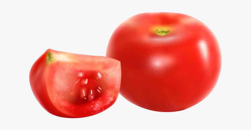 Tomato Png Image Free Download Searchpng - Plum Tomato, Transparent Png, Free Download