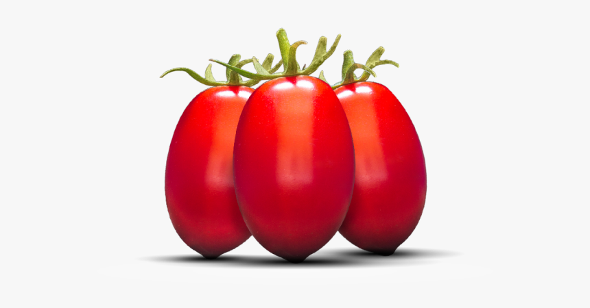 Pomodoro Datterino Png, Transparent Png, Free Download
