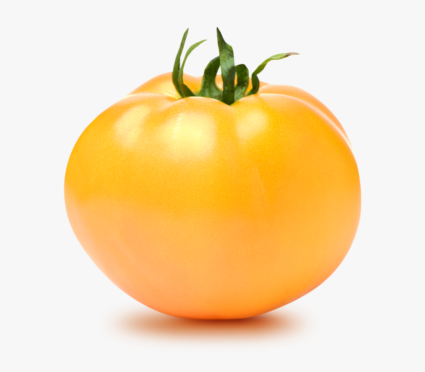 Gold Tomato Png, Transparent Png, Free Download