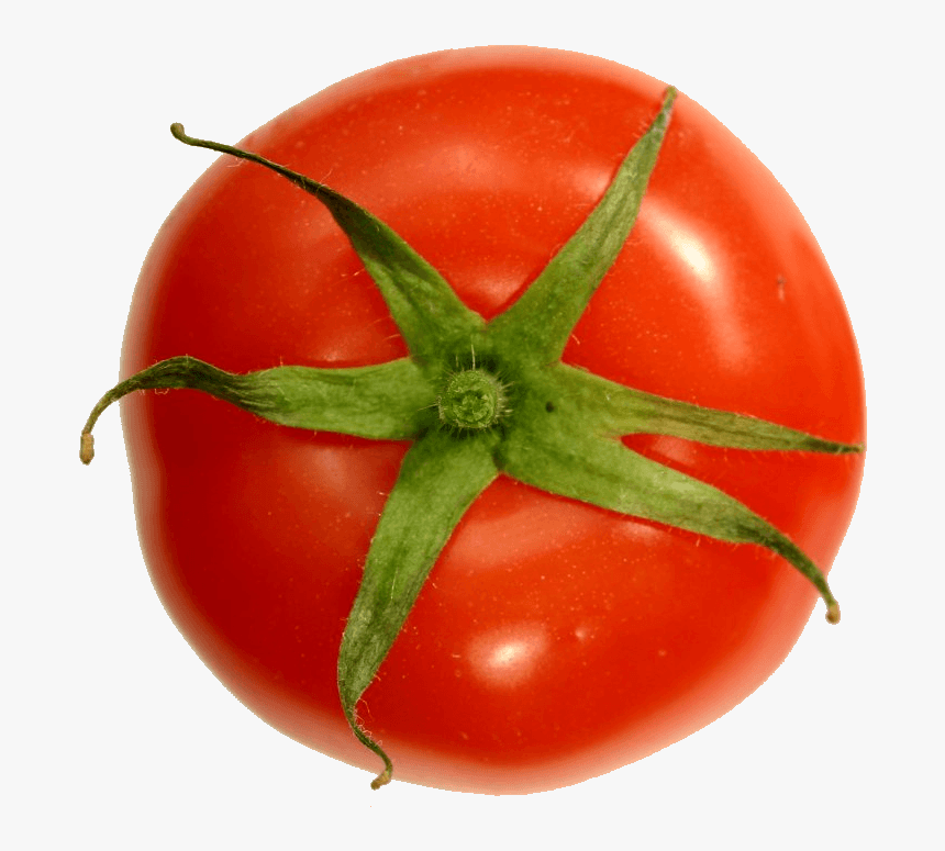 Transparent Tomato Png - Top Of A Tomato, Png Download, Free Download