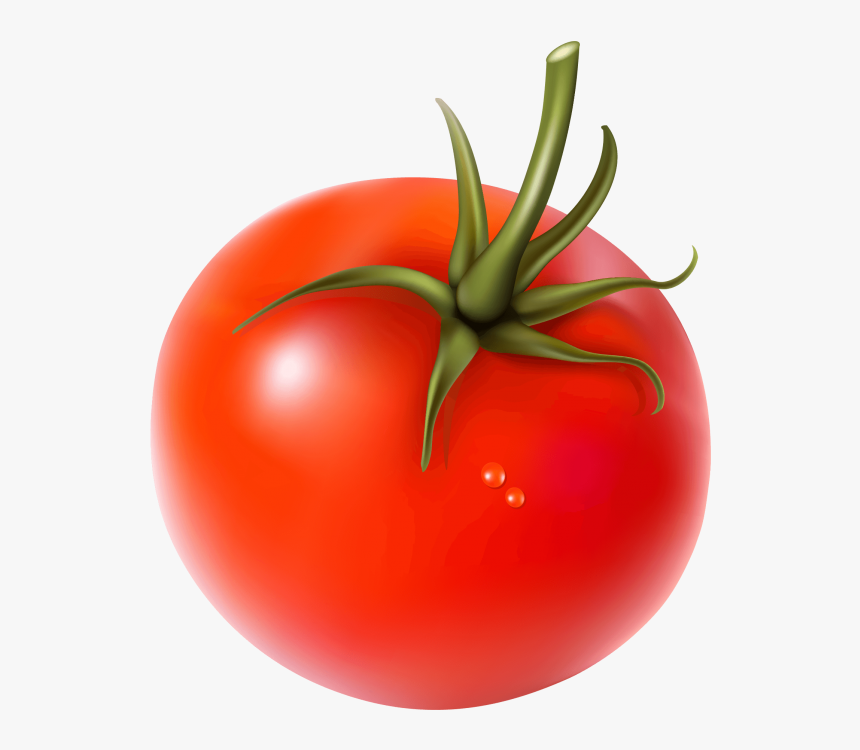 Tomato Vegetables Png, Transparent Png, Free Download