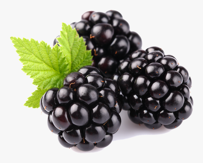 Blackberry Fruit Free Download Png - Fruits Blackberry, Transparent Png, Free Download