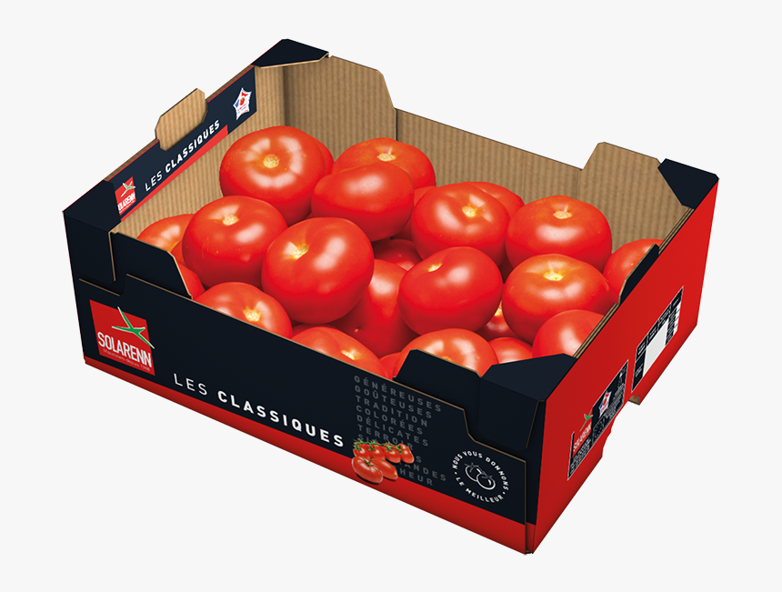 Plum Tomato , Png Download - Plum Tomato, Transparent Png, Free Download