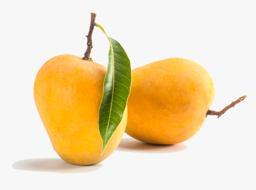 Transparent Mango Tree Png - Mango Fruit, Png Download, Free Download