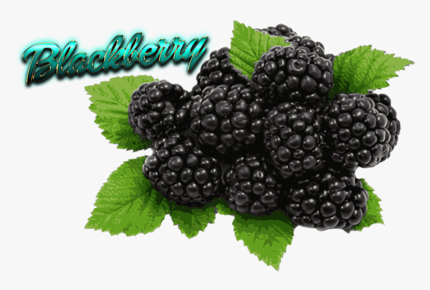 Blackberry Fruit , Png Download, Transparent Png, Free Download