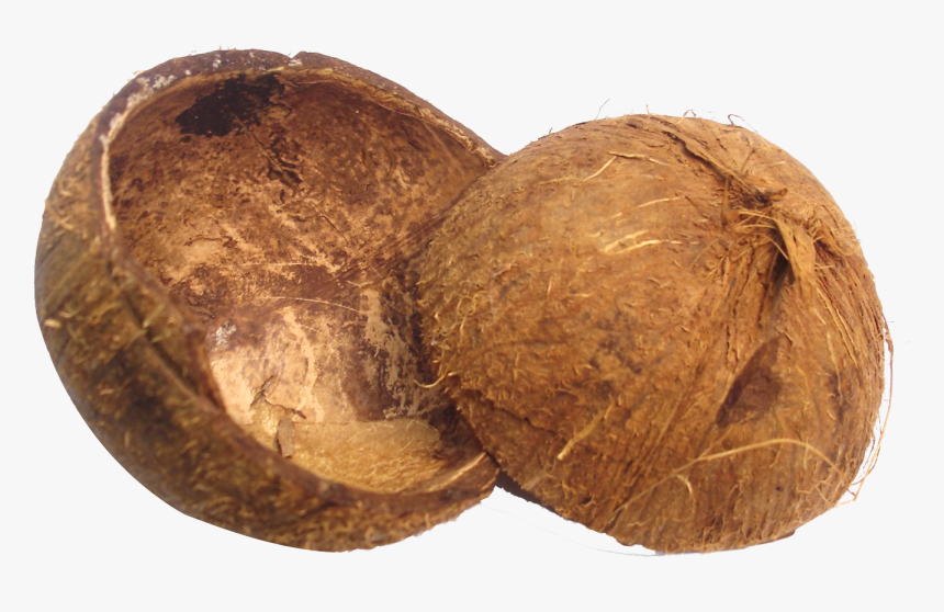 Coconut Husk Png, Transparent Png, Free Download