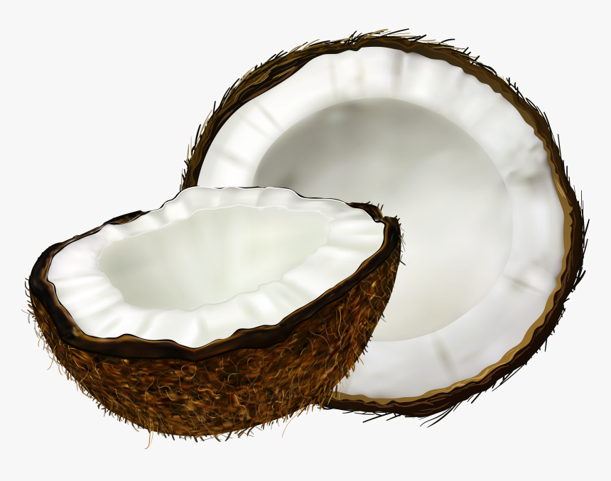 Coconut Transparent Background, HD Png Download, Free Download