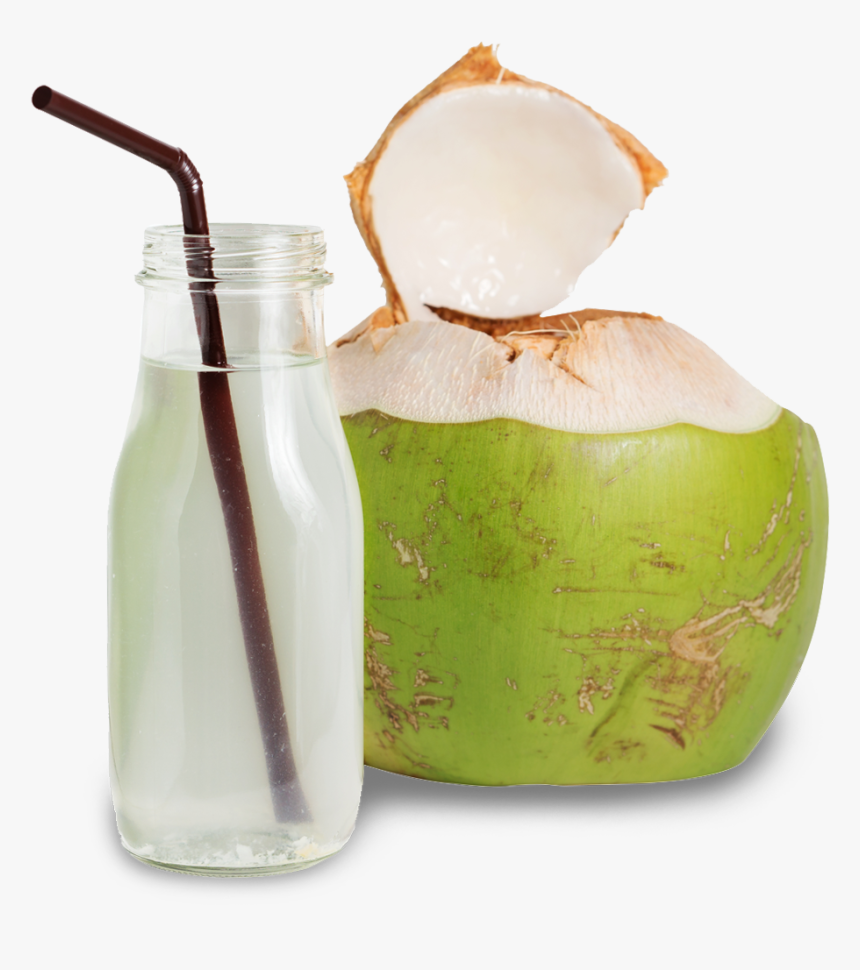 Transparent Coconut Png Images - Transparent Coconut Water Png, Png Download, Free Download