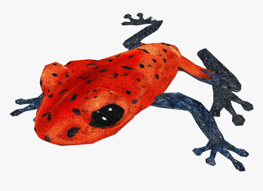 Poison Dart Frog Png Transparent Hd Photo - Transparent Poison Dart Frog Png, Png Download, Free Download