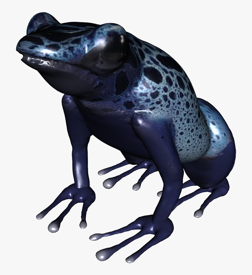 Blue Frog - Poison Dart Frog Png, Transparent Png, Free Download