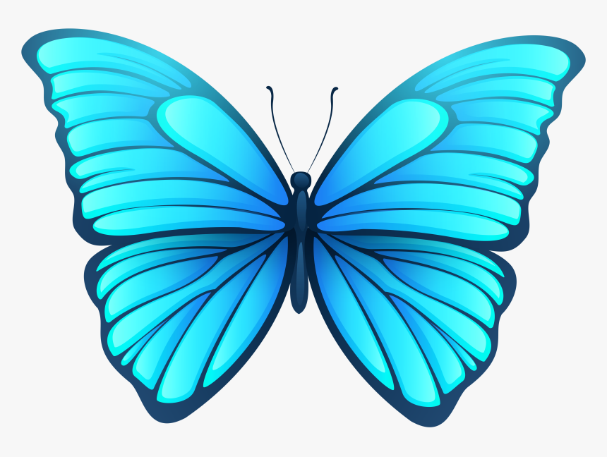 Butterfly Png Images - Transparent Background Butterfly Png, Png Download, Free Download