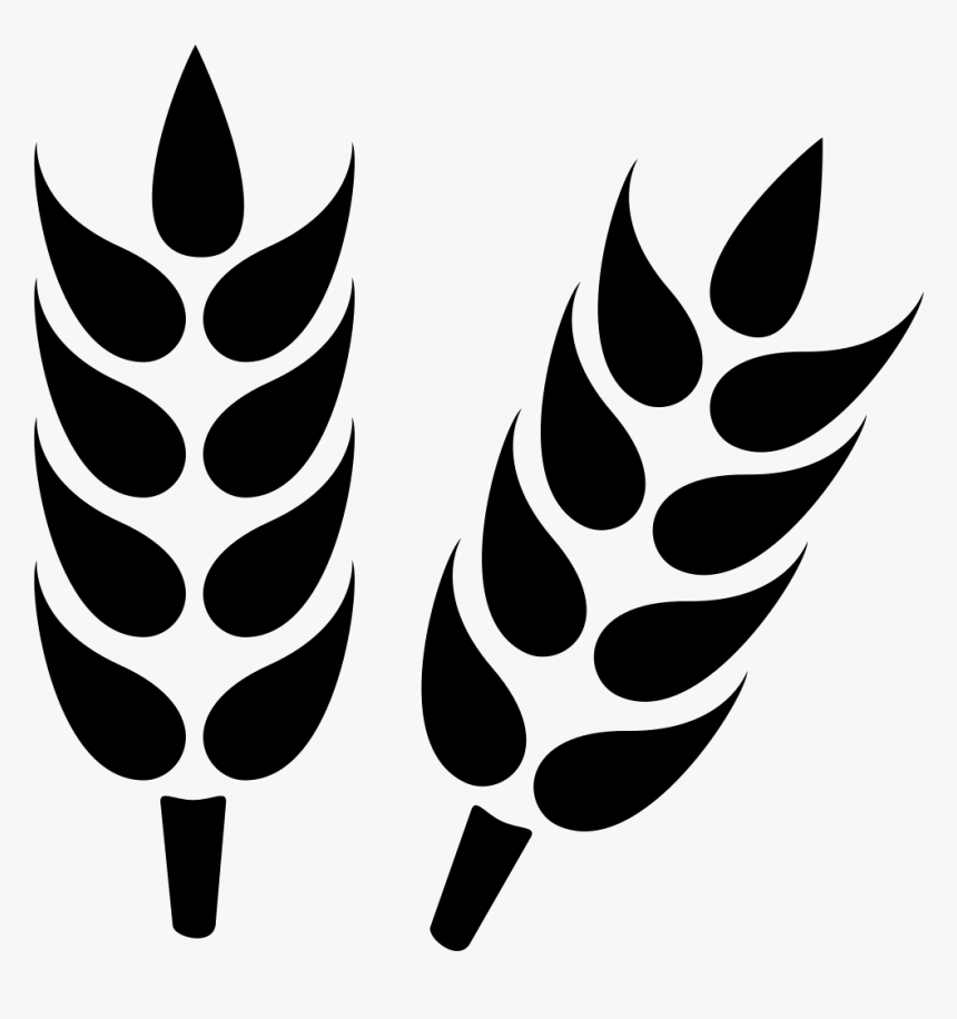 Wheat - Wheat Icon Png, Transparent Png, Free Download