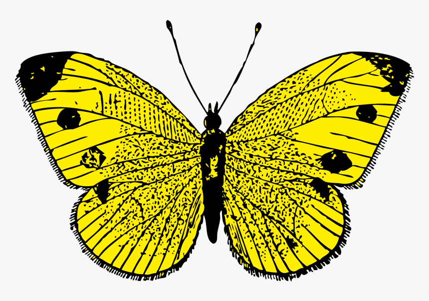 Butterfly Png Image - Yellow Butterfly Clipart, Transparent Png, Free Download