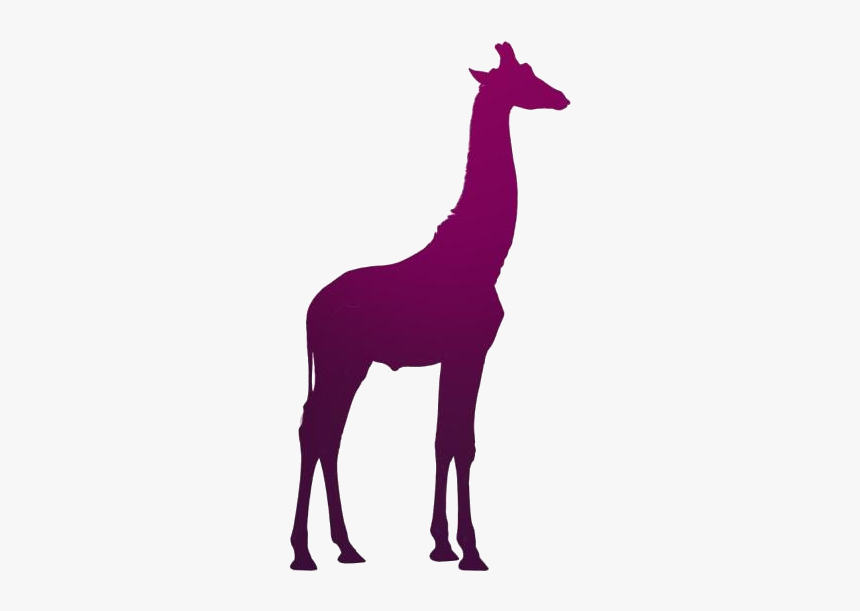 Transparent Giraffe Art, Giraffe Png Pic - Black Giraffe Vector, Png Download, Free Download