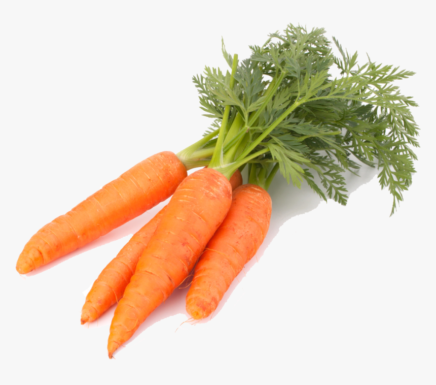 Download Carrot Png - Carrot Png, Transparent Png, Free Download